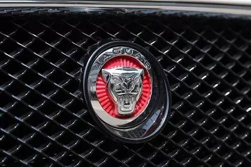 車(chē)標(biāo)上的動(dòng)物都是啥來(lái)頭？看完又能出去裝X了